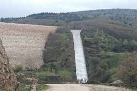 Pazaryeri tarımında altın dönem başlıyor