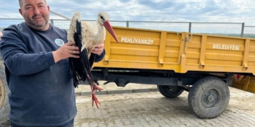 Kırklareli’de yaralı leyleğe şefkat eli