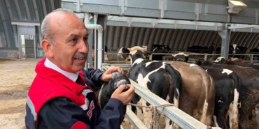 Müdür Düzgün: "256 kesim yeri için onay verildi"