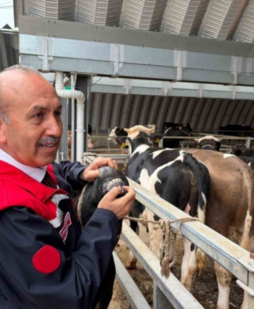 Müdür Düzgün: "256 kesim yeri için onay verildi"