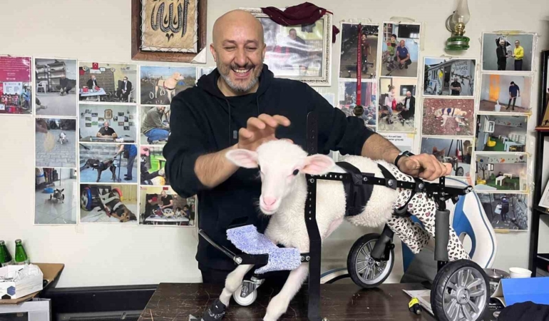 Demir ustası felçli canlara ’umut’ oluyor: 9 yılda bin hayvanı ayağa kaldırdı