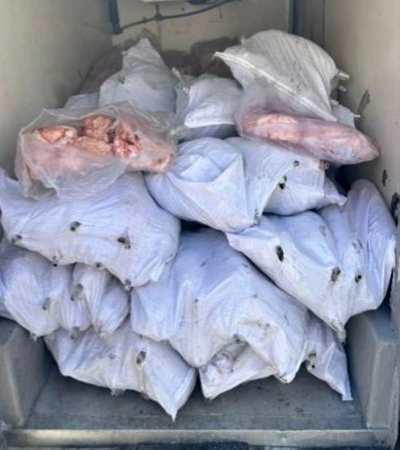 Tekirdağ’da 1,5 ton iç yağ ve 140 kokoreç imha edildi