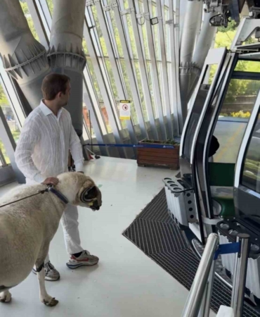 Bayramda keseceği koçla teleferik keyfi yaptı