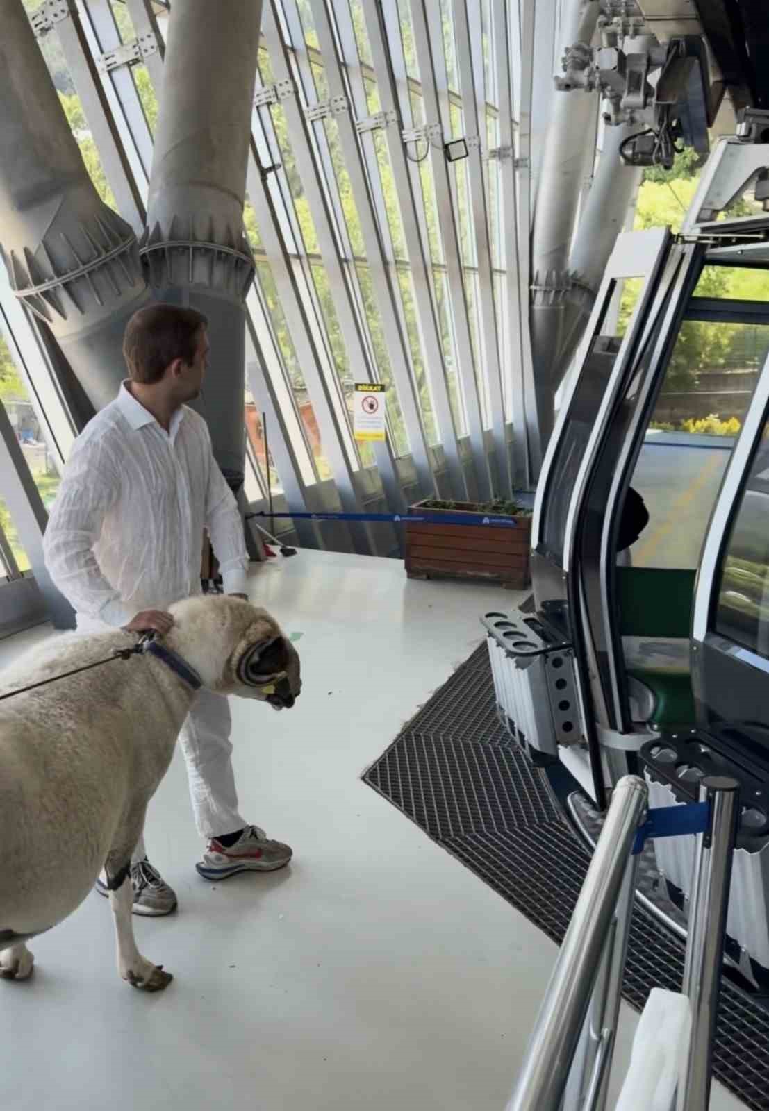 Bayramda keseceği koçla teleferik keyfi yaptı