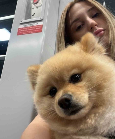 Gaziosmanpaşa’da "petshopta yıkanan köpeğin ihmalden öldüğü" iddiası