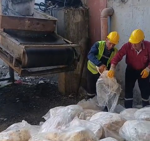 Tekirdağ’da 1 ton 200 kilogram sağlıksız mumbar imha edildi