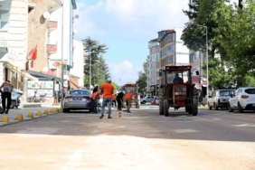 Bilecik’te çim biçme ve ilaçlama çalışmaları hız kazandı