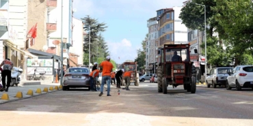 Bilecik’te çim biçme ve ilaçlama çalışmaları hız kazandı