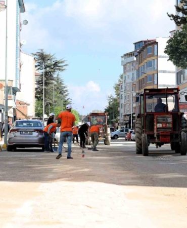 Bilecik’te çim biçme ve ilaçlama çalışmaları hız kazandı